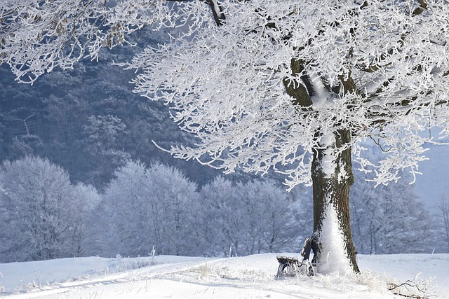Winter Manual Handling Equipment Tips
