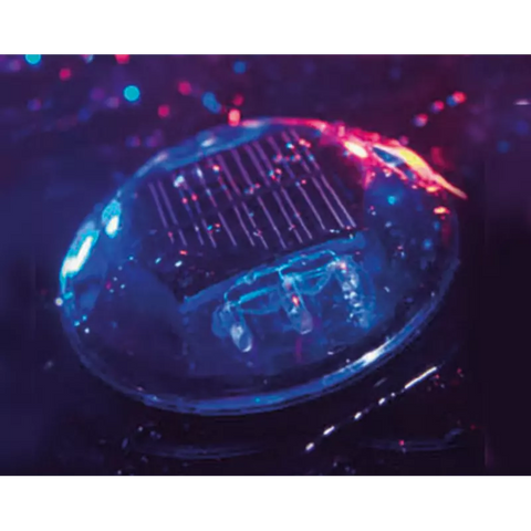 Polycarbonate Solar LED Cat's Eye