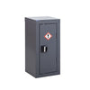 Single COSHH Locker