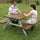 Wexham Hardwood Picnic Table