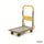 Deluxe Folding Platform Trolley